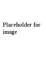 Placeholder for image
