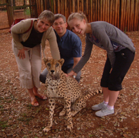 The same tame cheetah